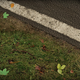 Illustration for article titled Yup, This Is Still The Worlds Most Attractive Racing Game